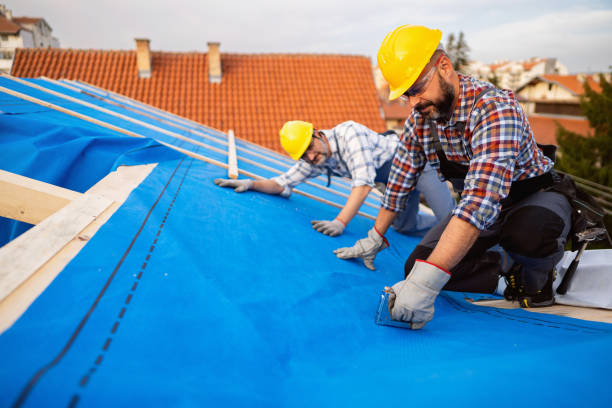 Best Roof Gutter Cleaning  in Ponder, TX